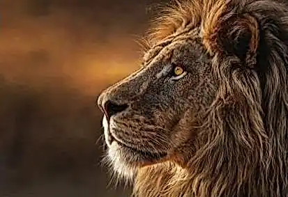 Сукааа сегодня 9df282