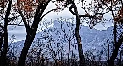 Сукааа скачать ba1d79